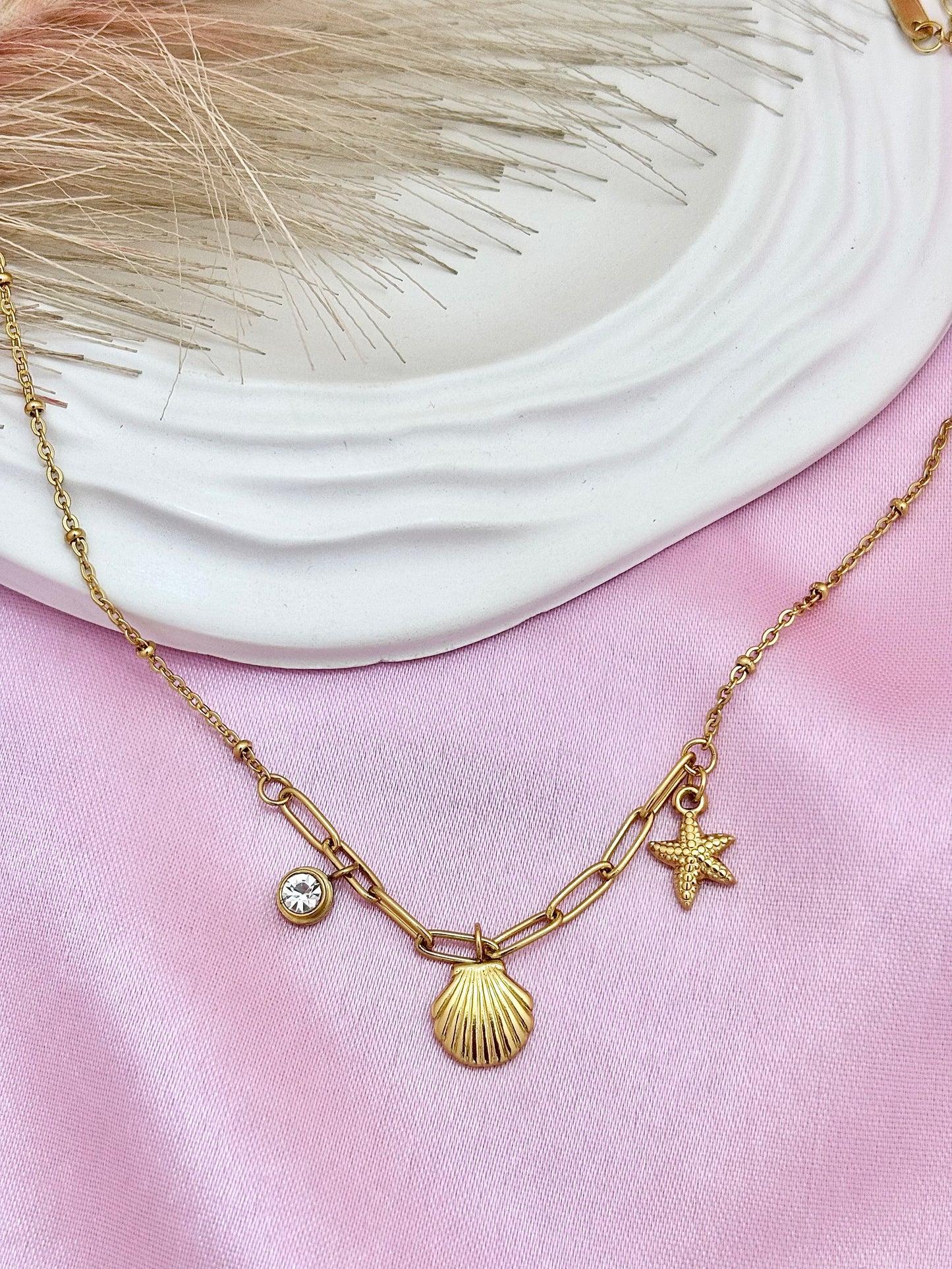 Ocean Shell