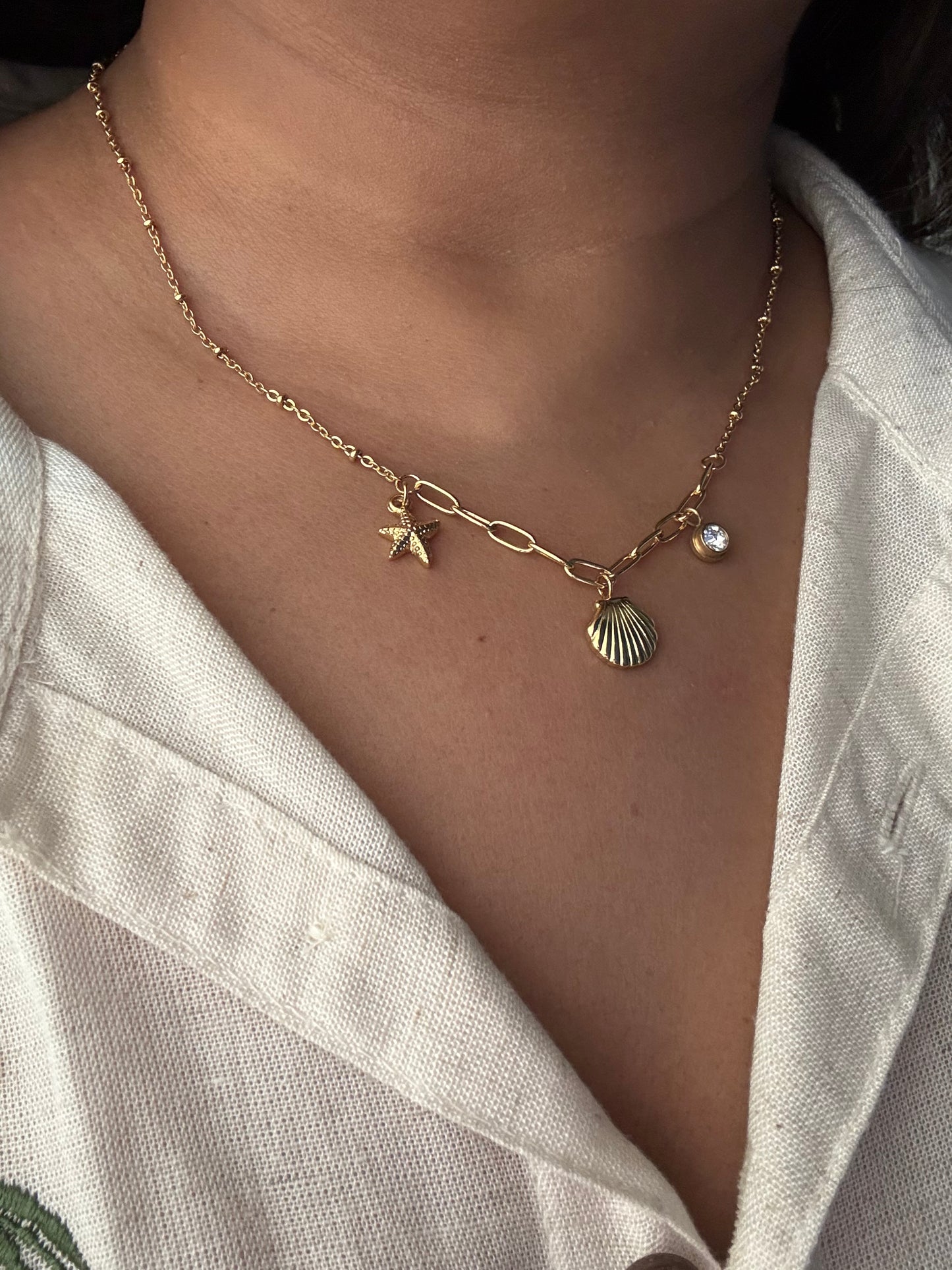 Ocean Shell