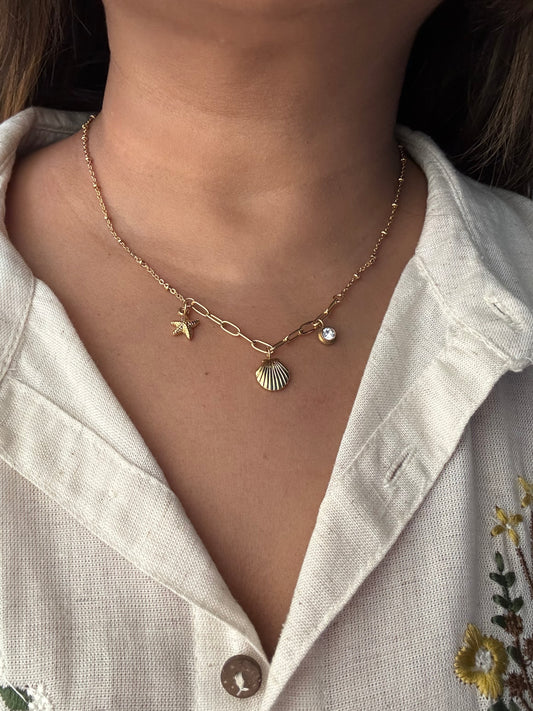 Ocean Shell