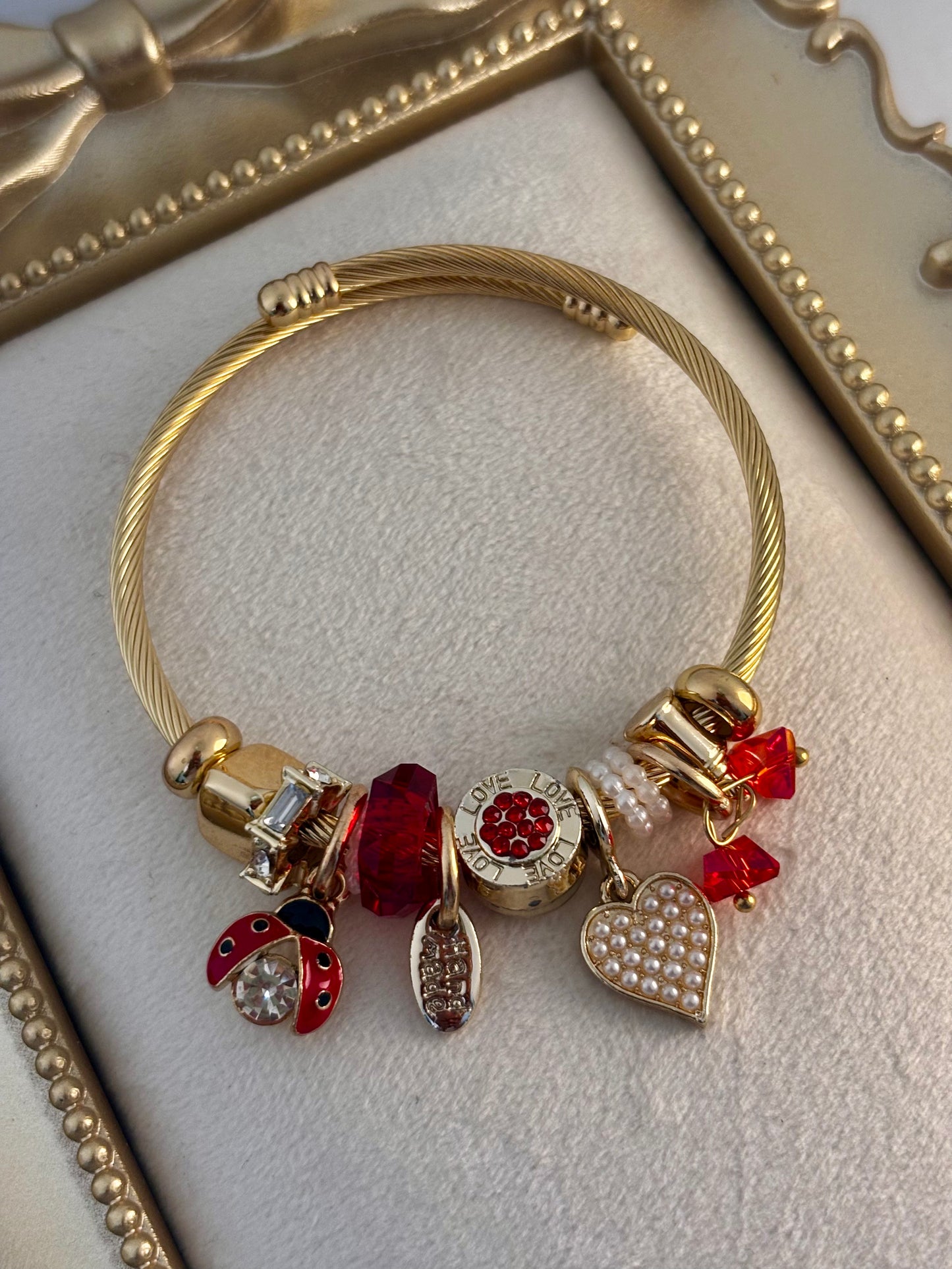 Lucky Ladybug Charm Pandora Bracelet