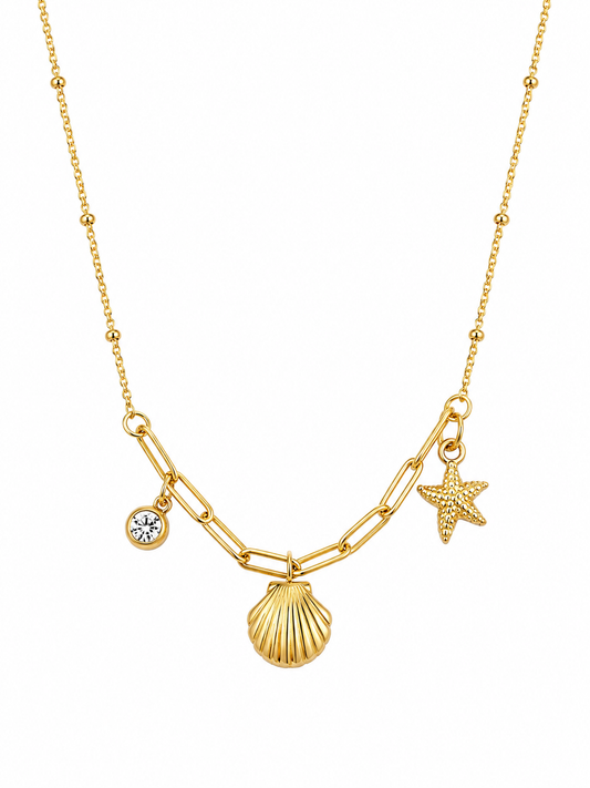 Ocean Shell